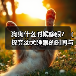 狗狗什么时候睁眼？（探究幼犬睁眼的时间与原因，）（图1）