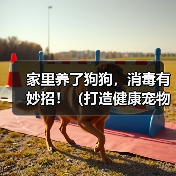 家里养了狗狗,消毒有妙招!(打造健康宠物居家环境,让爱宠和家人更安心)(图1) 家里养了狗狗,消毒有妙招!(打造健康宠物居家环境,让爱宠和家人更安心)(图1)