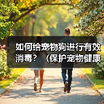 如何给宠物狗进行有效消毒?(保护宠物健康,从正确消毒开始)(图1) 如何给宠物狗进行有效消毒?(保护宠物健康,从正确消毒开始)(图1)