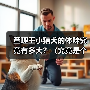 查理王小猎犬的体味究竟有多大？（究竟是个人主观感受还是确有差异？）（图1）