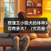 查理王小猎犬的体味究竟有多大？（究竟是个人主观感受还是确有差异？）（图4）