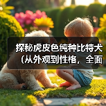探秘虎皮色纯种比特犬（从外观到性格，全面揭秘虎皮色纯种比特犬的魅力）（图1）