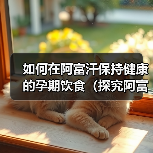 如何在阿富汗保持健康的孕期饮食(探究阿富汗孕妇饮食习惯与需求,让您的宝宝更加健康)(图1) 如何在阿富汗保持健康的孕期饮食(探究阿富汗孕妇饮食习惯与需求,让您的宝宝更加健康)(图1)