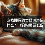 宠物睡觉的奇怪叫声是什么?(狗狗睡觉发出的叫声是什么样的?——探究宠物睡眠中的神秘行为)(图1) 宠物睡觉的奇怪叫声是什么?(狗狗睡觉发出的叫声是什么样的?——探究宠物睡眠中的神秘行为)(图1)