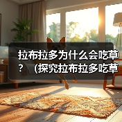 拉布拉多为什么会吃草?(探究拉布拉多吃草的原因和如何正确处理)(图4) 拉布拉多为什么会吃草?(探究拉布拉多吃草的原因和如何正确处理)(图4)