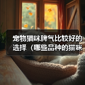 宠物猫咪脾气比较好的选择(哪些品种的猫咪性格温顺友好)(图1) 宠物猫咪脾气比较好的选择(哪些品种的猫咪性格温顺友好)(图1)