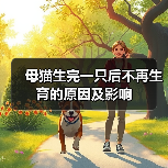 母猫生完一只后不再生育的原因及影响（图4）