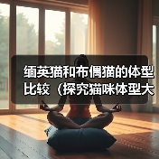 缅英猫和布偶猫的体型比较（探究猫咪体型大小对其品种特点的影响）（图2）
