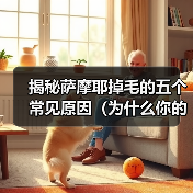 揭秘萨摩耶掉毛的五个常见原因（为什么你的萨摩耶总是掉毛？——探索萨摩耶掉毛的根源）（图1）