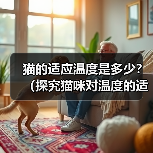 猫的适应温度是多少？（探究猫咪对温度的适应能力及关键因素）（图1）