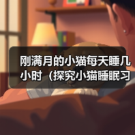 刚满月的小猫每天睡几小时（探究小猫睡眠习惯及其对健康的影响）（图1）