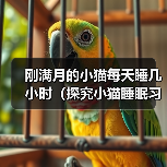 刚满月的小猫每天睡几小时（探究小猫睡眠习惯及其对健康的影响）（图2）