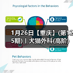 1月26日【重庆】(第125期)丨犬猫外科(高阶)班！含SUB(人人可实操)、乳糜胸等技术！（图3）