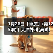 1月26日【重庆】(第125期)丨犬猫外科(高阶)班！含SUB(人人可实操)、乳糜胸等技术！（图4）