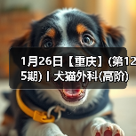 1月26日【重庆】(第125期)丨犬猫外科(高阶)班！含SUB(人人可实操)、乳糜胸等技术！（图1）