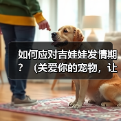 如何应对吉娃娃发情期？（关爱你的宠物，让TA度过发情期）（图2）