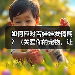 如何应对吉娃娃发情期？（关爱你的宠物，让TA度过发情期）（图1）