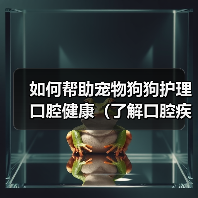 如何帮助宠物狗狗护理口腔健康(了解口腔疾病,从日常护理开始)(图1) 如何帮助宠物狗狗护理口腔健康(了解口腔疾病,从日常护理开始)(图1)