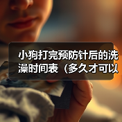 小狗打完预防针后的洗澡时间表(多久才可以给小狗洗澡?预防针的影响和建议)(图1) 小狗打完预防针后的洗澡时间表(多久才可以给小狗洗澡?预防针的影响和建议)(图1)