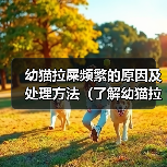 幼猫拉屎频繁的原因及处理方法（了解幼猫拉屎频繁的原因及如何应对）（图1）