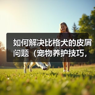如何解决比格犬的皮屑问题（宠物养护技巧，养出健康快乐的比格犬）（图3）