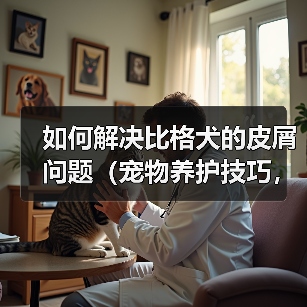 如何解决比格犬的皮屑问题（宠物养护技巧，养出健康快乐的比格犬）（图1）