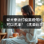 幼犬泰迪打疫苗后何时可以洗澡？（洗澡前请留意这些关键信息）（图4）