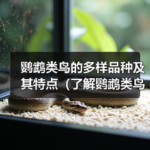 鹦鹉类鸟的多样品种及其特点(了解鹦鹉类鸟的品种和名称,探索其令人惊叹的多样性)(图1) 鹦鹉类鸟的多样品种及其特点(了解鹦鹉类鸟的品种和名称,探索其令人惊叹的多样性)(图1)
