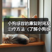 小狗感冒的康复时间及治疗方法（了解小狗感冒的症状与治愈时间，保护你的毛小孩）（图1）