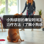 小狗感冒的康复时间及治疗方法（了解小狗感冒的症状与治愈时间，保护你的毛小孩）（图2）