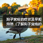 狗子宫癌的症状及早期预防（了解狗子宫癌的常见症状，提早预防保护您的毛孩）（图4）