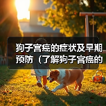 狗子宫癌的症状及早期预防（了解狗子宫癌的常见症状，提早预防保护您的毛孩）（图3）