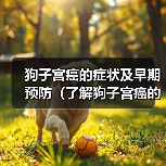 狗子宫癌的症状及早期预防（了解狗子宫癌的常见症状，提早预防保护您的毛孩）（图2）