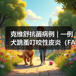 克维舒抗菌病例 | 一例犬跳蚤叮咬性皮炎（FAD）的病例分析（图3）