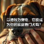 以德牧为宠物，它能成为你的家庭看门犬吗？（了解德牧的性格特点和训练技巧，让你更加信任它）（图4）