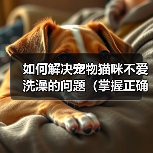 如何解决宠物猫咪不爱洗澡的问题(掌握正确方法,让猫咪爱上洗澡)(图1) 如何解决宠物猫咪不爱洗澡的问题(掌握正确方法,让猫咪爱上洗澡)(图1)