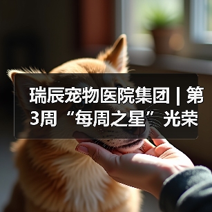 瑞辰宠物医院集团 | 第3周“每周之星”光荣榜（图3）