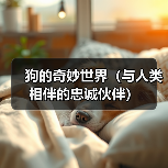 狗的奇妙世界（与人类相伴的忠诚伙伴）（图3）
