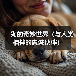 狗的奇妙世界（与人类相伴的忠诚伙伴）（图2）