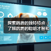 探索鹦鹉的独特特点（了解鹦鹉的聪明才智和多样化能力）（图3）