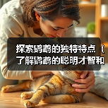 探索鹦鹉的独特特点（了解鹦鹉的聪明才智和多样化能力）（图1）