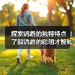 探索鹦鹉的独特特点（了解鹦鹉的聪明才智和多样化能力）（图2）