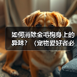 如何消除金毛狗身上的异味？（宠物爱好者必看！金毛狗身上异味的原因和解决方法）（图2）