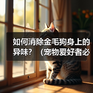 如何消除金毛狗身上的异味？（宠物爱好者必看！金毛狗身上异味的原因和解决方法）（图4）