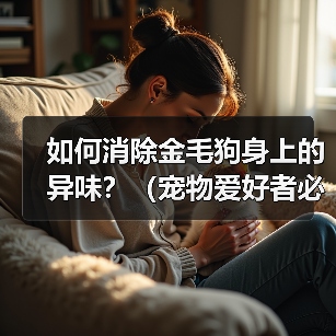 如何消除金毛狗身上的异味？（宠物爱好者必看！金毛狗身上异味的原因和解决方法）（图3）