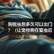 狗驱虫后多久可以出门？（让宠物狗在驱虫后安全出门的最佳时间点）（图4）