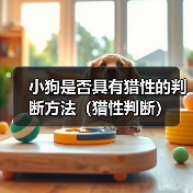小狗是否具有猎性的判断方法（猎性判断）（图3）