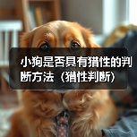 小狗是否具有猎性的判断方法（猎性判断）（图2）