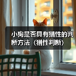 小狗是否具有猎性的判断方法（猎性判断）（图4）