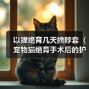以猫绝育几天摘脖套（宠物猫绝育手术后的护理和恢复过程）（图4）